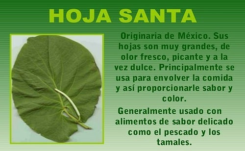 45 Hojas Deshidratadas De Hierba Santa, Tlanepa, Acuyo.