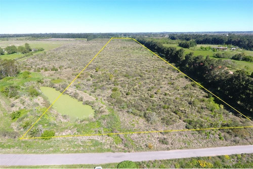 Venta De Campo Melilla , Camino Sere, Zona Chacras