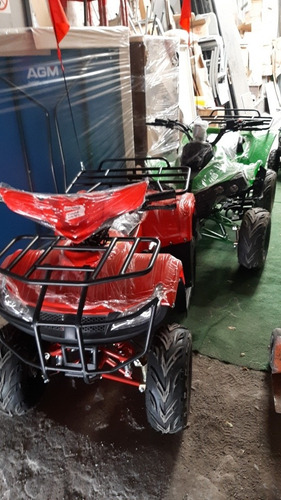 Imagen 8 de 17 de Cuatrimotos 125 Cc Nuevas Automaticas Remato Las Ultimas