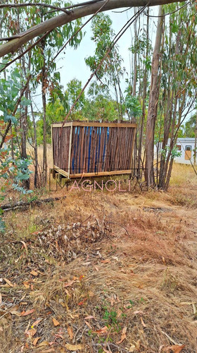 Casa En Venta De 1 Dorm 1 Baño, Topocalma, Puertecillo