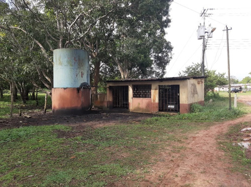 Imagen 15 de 27 de Se Vende Finca El Maitero Via El Sur De Monagas Ve02-1098vs-mtru