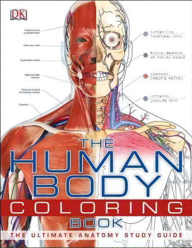 Human Body Coloring Book, De Dk. Editorial Dk Publishing, Tapa Blanda En Inglés