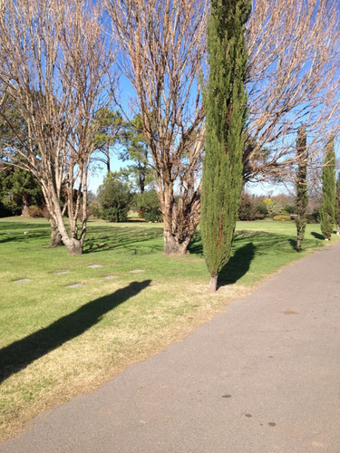 Imagen 3 de 7 de Parcela En Cementerio Parque Memorial