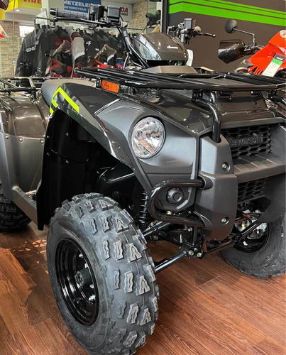 Imagen 3 de 14 de Cuatri Kawasaki Brute Force 300