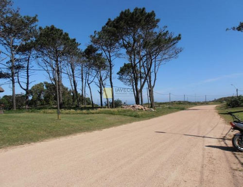 Imagen 5 de 30 de Venta De Casa De 4 Dormitorios En Pinares