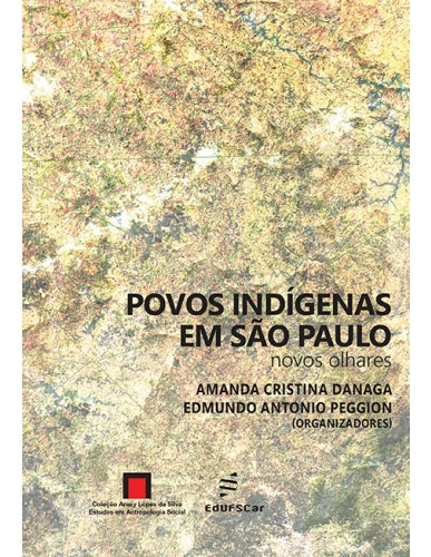 Povos indígenas em São Paulo, de Danaga, Amanda Cristina. Editora Fundação de Apoio Inst. Ao Desenv. Cient. E Tecnologico, capa mole em português, 2016