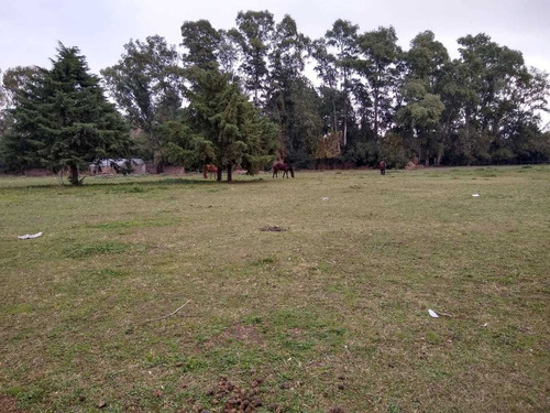 Imagen 6 de 13 de Quinta En Virrey Del Pino Barrio Oro Verde