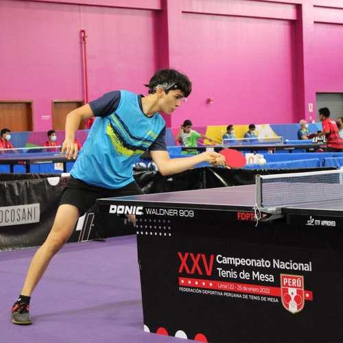 Imagen 5 de 10 de Mesa De Ping Pong Donic Waldner 909 25mm Ittf