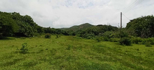 Imagen 3 de 8 de Terreno En Venta En Morelos