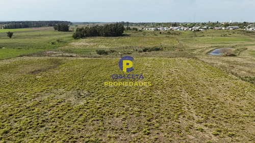 3 Hectáreas En Migues Con Aguada Y Linda Vista