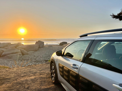 Citroën C4 Cactus Puretech S Feel