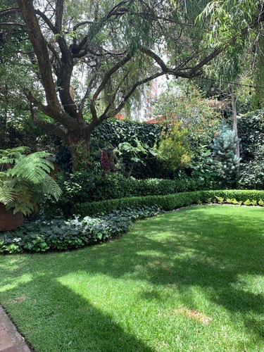 Imagen 11 de 14 de Casa De 3 Recamaras Con Jardín En El Cortijo