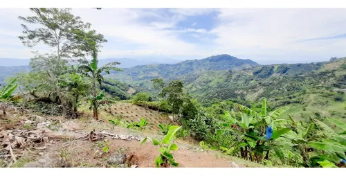 Venta Finca - Vereda Coco Hondo - Balboa