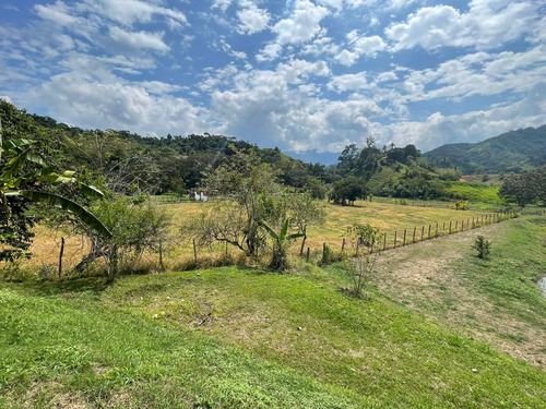 Imagen 18 de 30 de Espectacular Finca Clima Caliente En Venta Porce