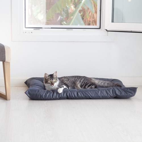 Cama Para Perro O Gato Lola Pets Tapiz Antidesgarro Mediano