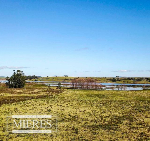 Quinta En Venta De Sin Construccion En Laguna Del Sauce (ref: Atm-3257)