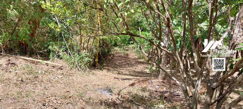Imagen 3 de 6 de Venta De Finca De 2mz Agricola En Niquinohomo