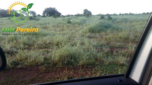Imagem 3 de 6 de Fazenda À Venda Em Figueirópolis - To - De 281 Alqueirões - 1818