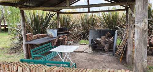Alquiler Casa En Chascomus Laguna Vitel