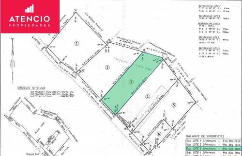 Imagen 4 de 11 de Campo De 8 Has Sobre Ruta 11, A 1,5 Km De Viñedo Borde Rio