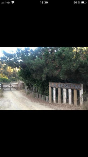 Hermosa Parcela En Tunquen.