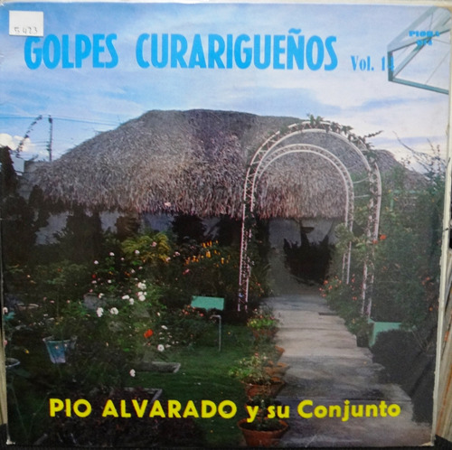 Pio Alvarado Y Su Conjunto - 2 Discos Se Venden Juntos - 7$