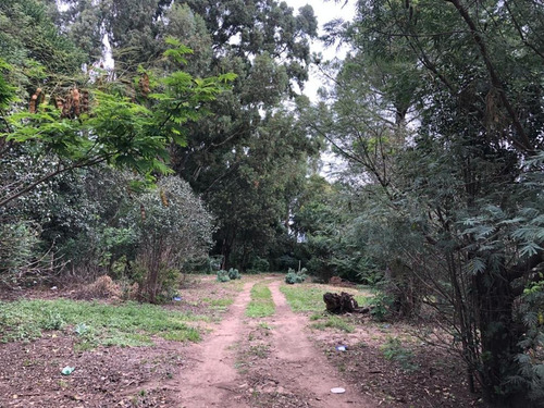 Terreno 4000 M2 En Venta En Villa Elena - Cortaderas