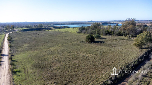 Campo En Venta De Casi 15 Has En Escalada Zarate.
