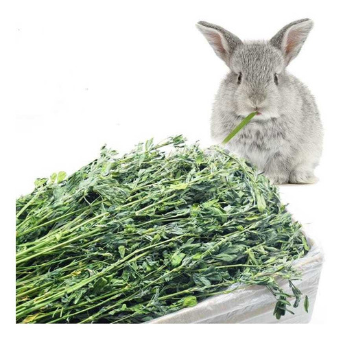 Alfalfa Heno En Hebras Por 1kilo.