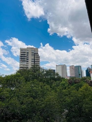 Imagen 26 de 29 de Renta Departamento A Una Cuadra De Parque Lincoln Con Balcon