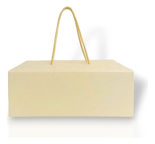 Caja Bolsa Premium Rígida C/cordón 18x25x18cm (x50u) 215