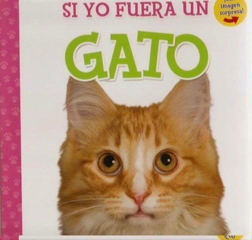 Si Yo Fuera Un Gato, De No Aplica. Editorial Kidsbooks, Tapa Dura En Español, 2014