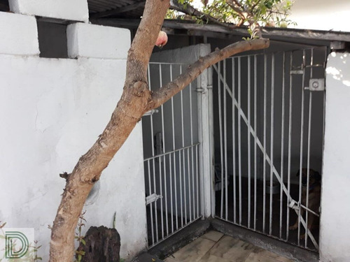 Imagem 3 de 15 de Casa Térrea No Jd. Bonfiglioli. Contendo 3 Dormitórios - Di17115
