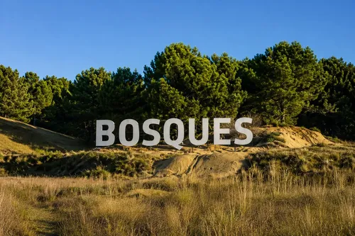 Lote Barrio Bosques Pinamar