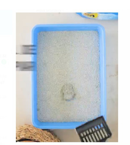 Imagen 4 de 9 de Piedras Sanitarias Aglomerantes Odourlock X 6 Kg