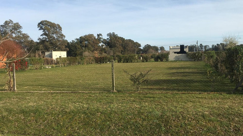 Imagen 1 de 1 de Lote De Terreno