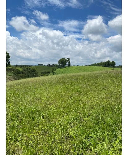Venta Lotes En Quimbaya Quindío - Colombia Cod: 7439383