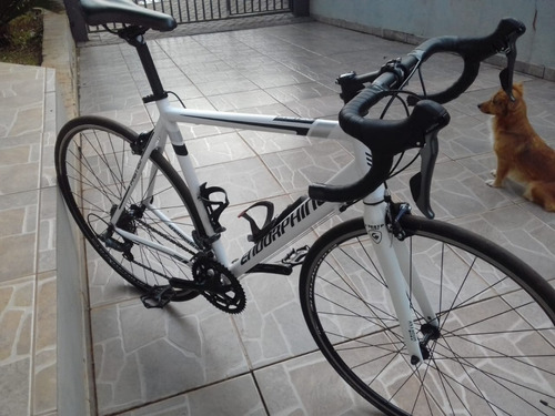 bike endorphine fast 20