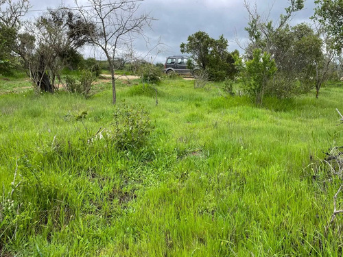 Venta Parcela Altos Del Valle Limache (171066)