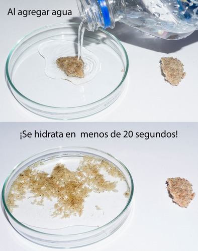 Imagen 4 de 6 de 2 Artemia Liofilizada 6g Y 2 Tubifex Premium 13g Liofilizado