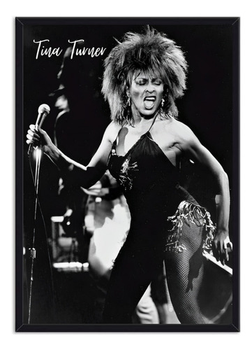 Cuadro Decorativo Cantante Tina Turner 