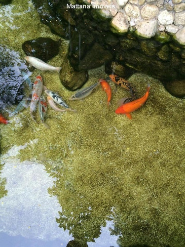 Imagem 10 de 30 de Chácara Com Piscina Em Sjcampos-sp - Ch40 - 34962973
