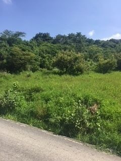 Imagen 2 de 3 de Terreno Medio Para Venderse Fraccionado En Juitepec Morelos