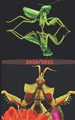 Agenda Escolar 2020-2021 Mantis Religiosa - Praying Mantis-