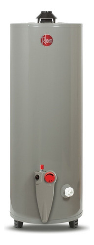 Termotanque Rheem 29V30/393469 gris oscuro 114L