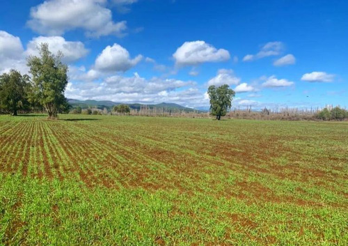 Parcelas A Minutos Centro Urbano Longaví Con Tierra Fértil