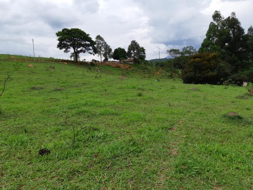 Fazenda Para Venda Em Nova União, Fazendinha, 4 Dormitórios, 1 Banheiro - F14_1-1023508