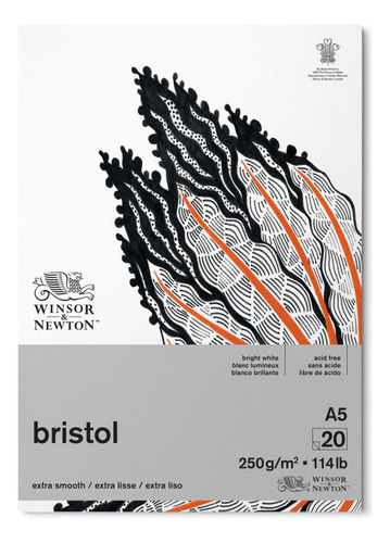 Bloco De Papel Bristol Winsor & Newton - Para Lápis/grafite