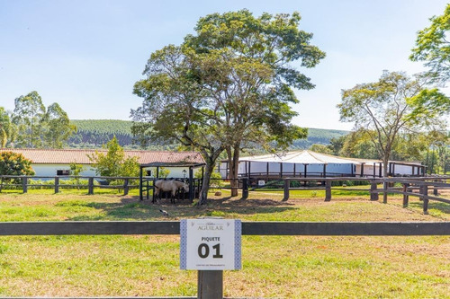 Imagem 5 de 30 de Fazenda À Venda No Bairro Sarapuí - Sarapuí/sp - O-8420-17443