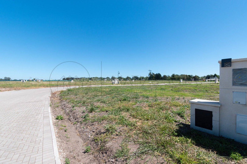 Imagen 22 de 25 de Lote 151 En Developer Park Oportunidad!!!